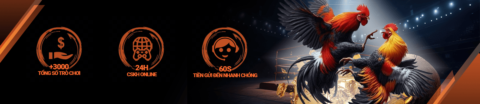 banner-footer-sv388