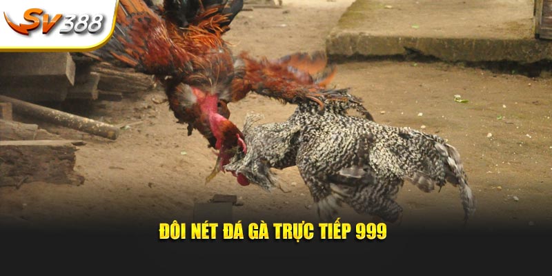 Đôi nét đá gà trực tiếp 999