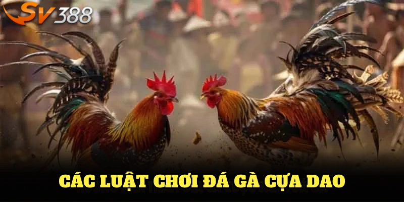 Tổng hợp các luật chơi đá gà cựa dao cơ bản bạn nên nắm