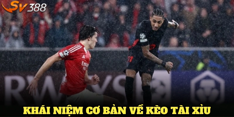 Khái niệm cơ bản về kèo tài xỉu tại SV388