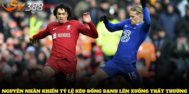 Những nguyên nhân khiến tỷ lệ kèo đồng banh lên xuống thất thường