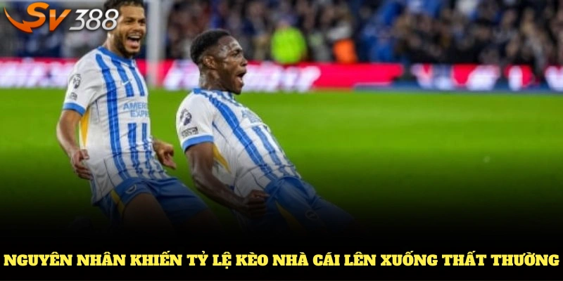 Những nguyên nhân khiến tỷ lệ kèo nhà cái lên xuống thất thường