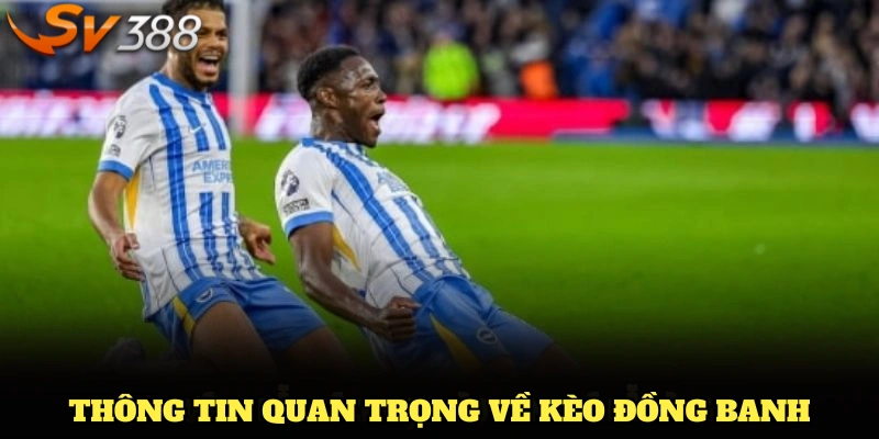 Nắm một số thông tin về kèo đồng banh 2025