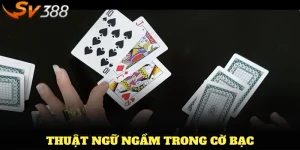 thuật ngữ ngầm trong cờ bạc