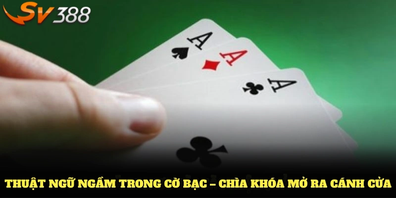 Thuật ngữ ngầm trong cờ bạc – chìa khóa mở ra cánh cửa thành công