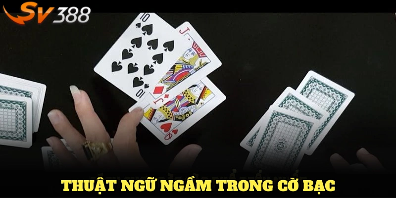 thuật ngữ ngầm trong cờ bạc
