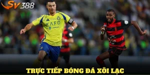 trực tiếp bóng đá Xôi Lạc