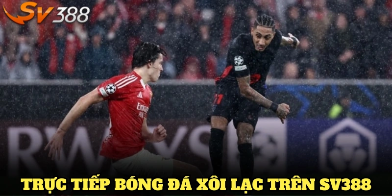 Trực tiếp bóng đá Xôi Lạc trải nghiệm xem live chất lượng cao