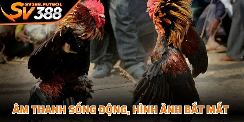 Âm thanh sống động, hình ảnh bắt mắt sẽ đem lại trải nghiệm thỏa mãn nhất